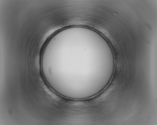 X0000111661030200907311134