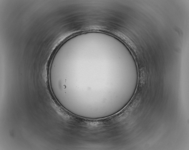 X0000111661031200907311134