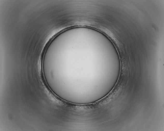 X0000111661032200907311134