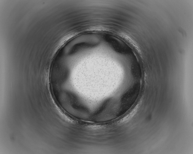 X0000111661033200907311134