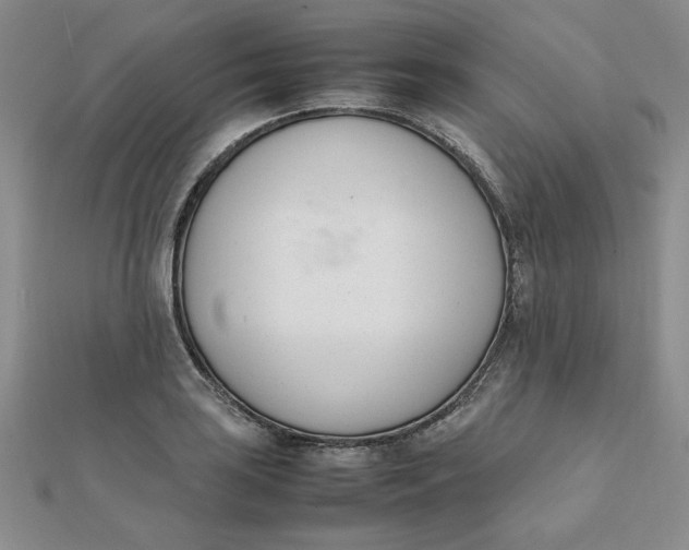 X0000111661035200907311134