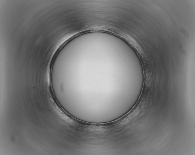 X0000111661036200907311134