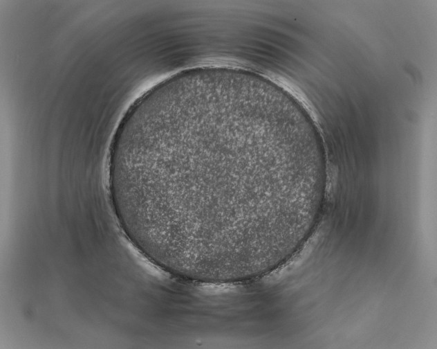 X0000111661037200907311134