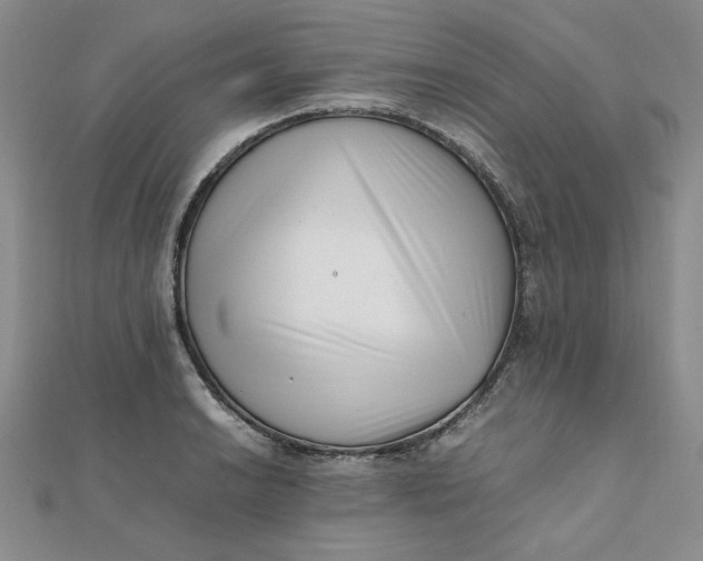 X0000111661038200907311134