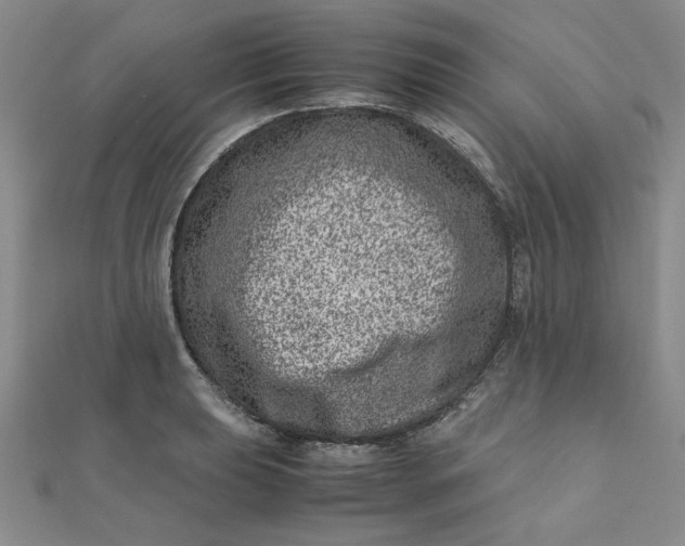 X0000111661039200907311134