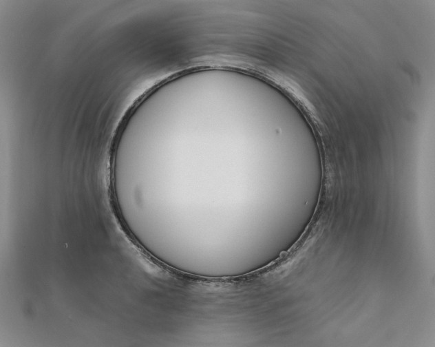 X0000111661040200907311134