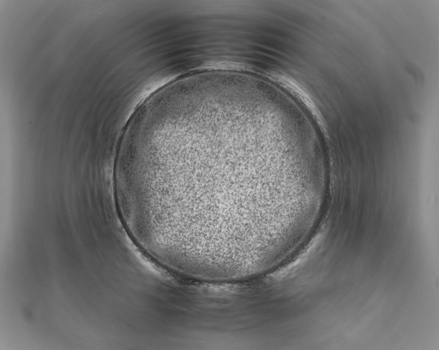 X0000111661041200907311134