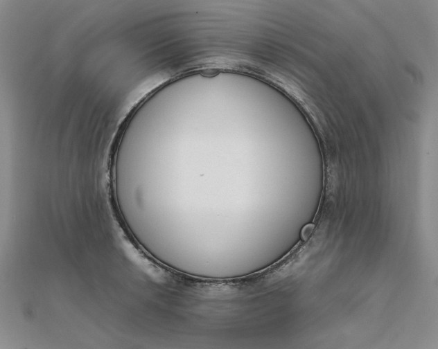 X0000111661042200907311134