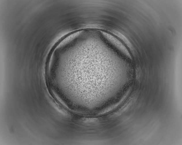 X0000111661043200907311134