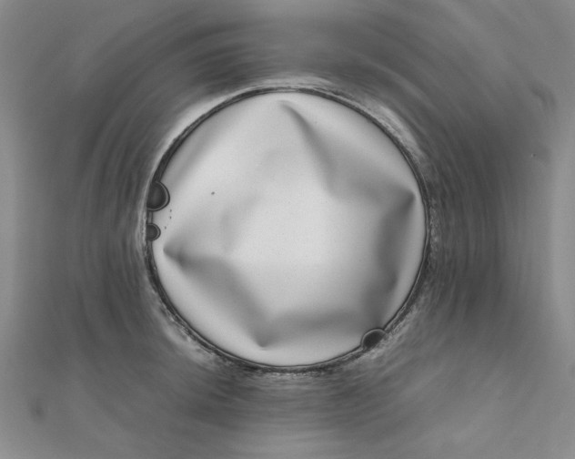 X0000111661044200907311134