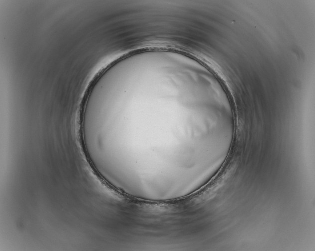 X0000111661045200907311134