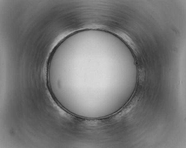 X0000111661046200907311134