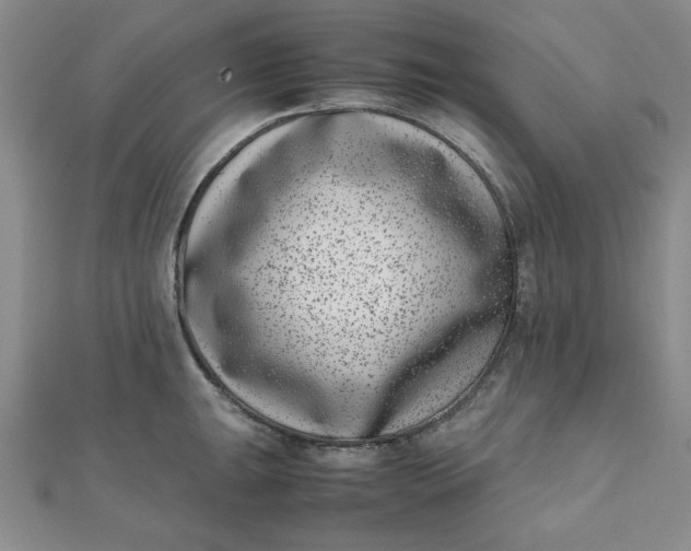 X0000111661047200907311134