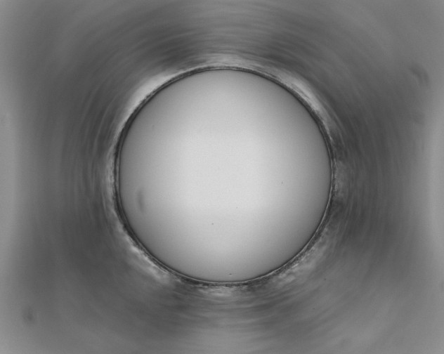 X0000111661048200907311134