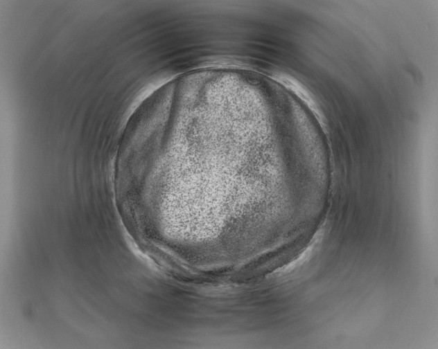 X0000111661049200907311134