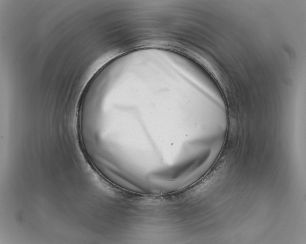 X0000111661050200907311134