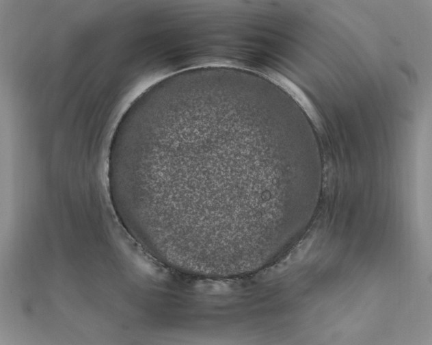 X0000111661051200907311134