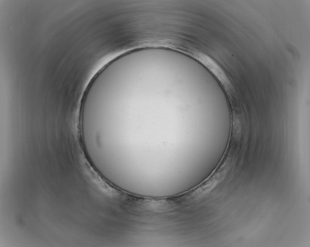 X0000111661052200907311134