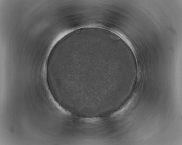 X0000111661053200907311134