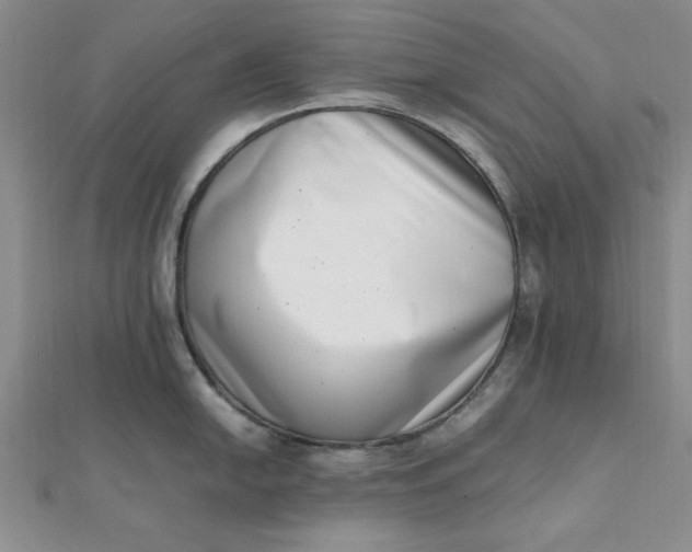 X0000111661054200907311134