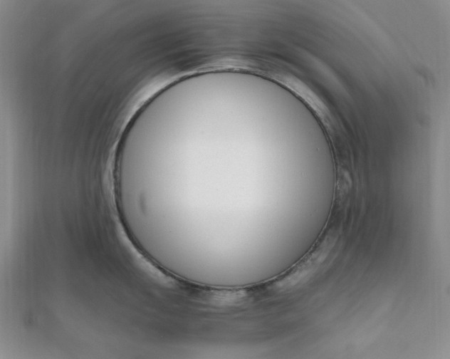 X0000111661055200907311134