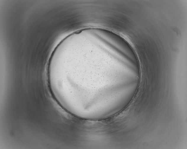 X0000111661056200907311134