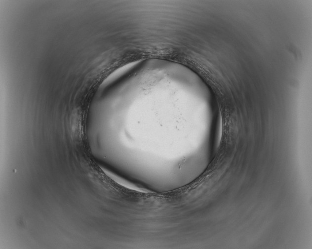 X0000111661058200907311133