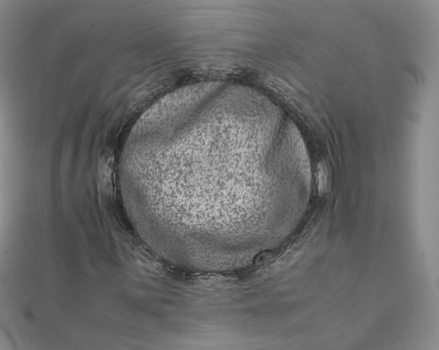 X0000111661059200907311133