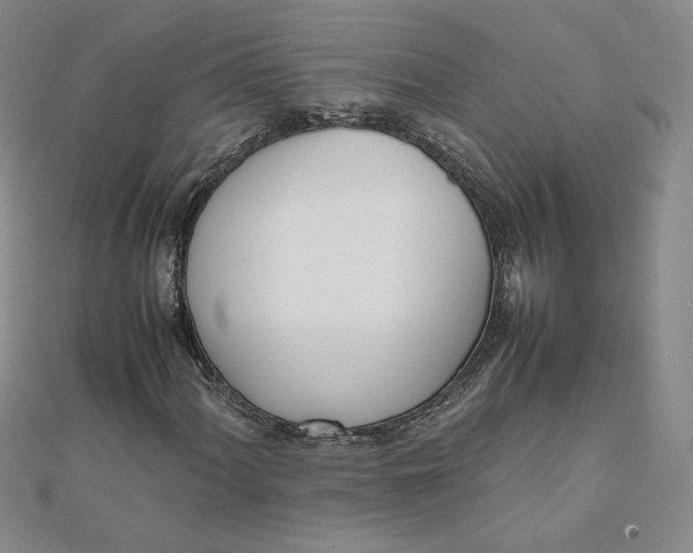 X0000111661060200907311133