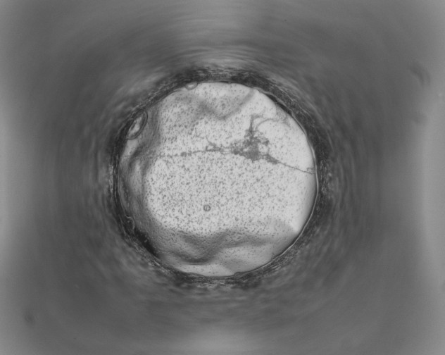 X0000111661061200907311133