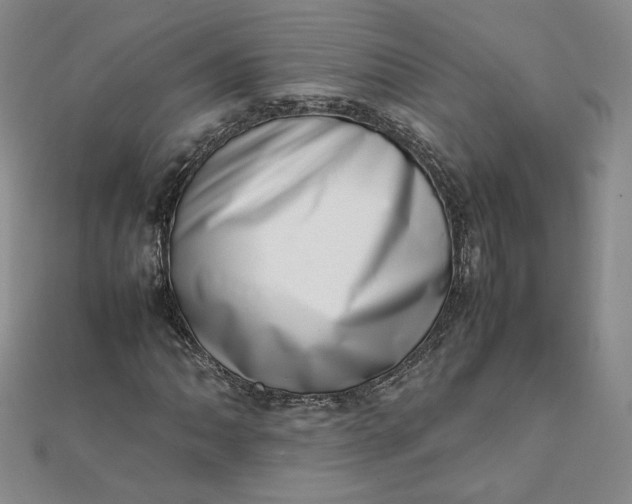 X0000111661062200907311133