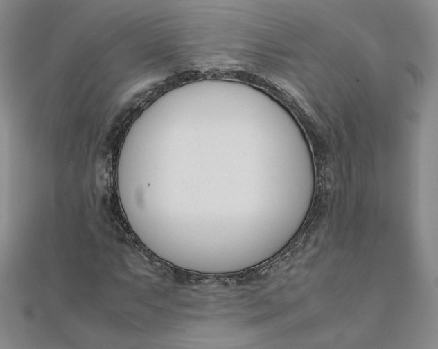 X0000111661063200907311133