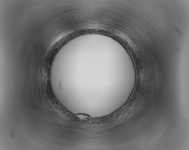 X0000111661064200907311133