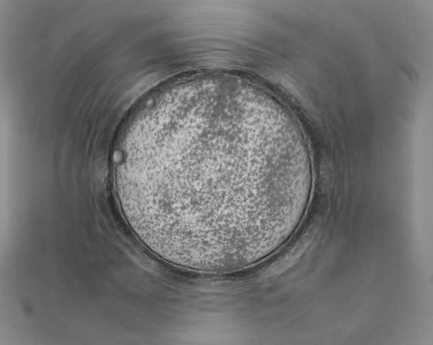 X0000111661065200907311133