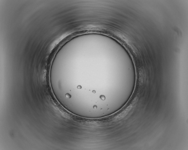 X0000111661066200907311133