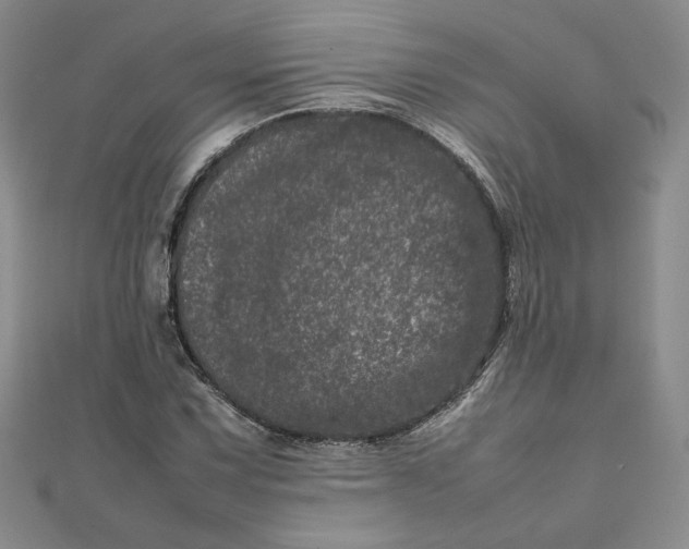 X0000111661067200907311133