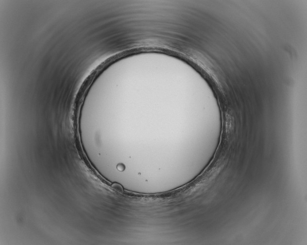 X0000111661068200907311133