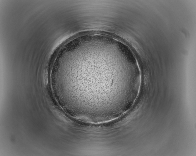 X0000111661069200907311133