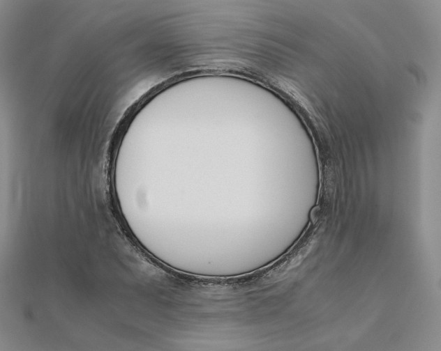 X0000111661071200907311133