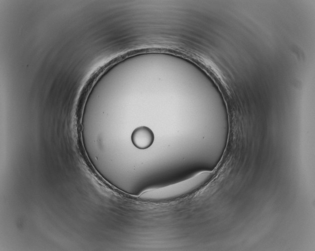 X0000111661072200907311133