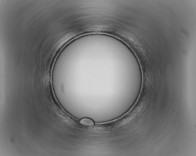 X0000111661073200907311133