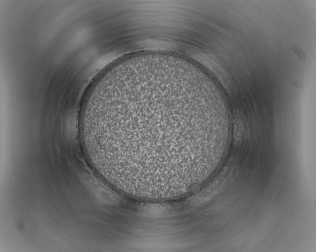 X0000111661074200907311133