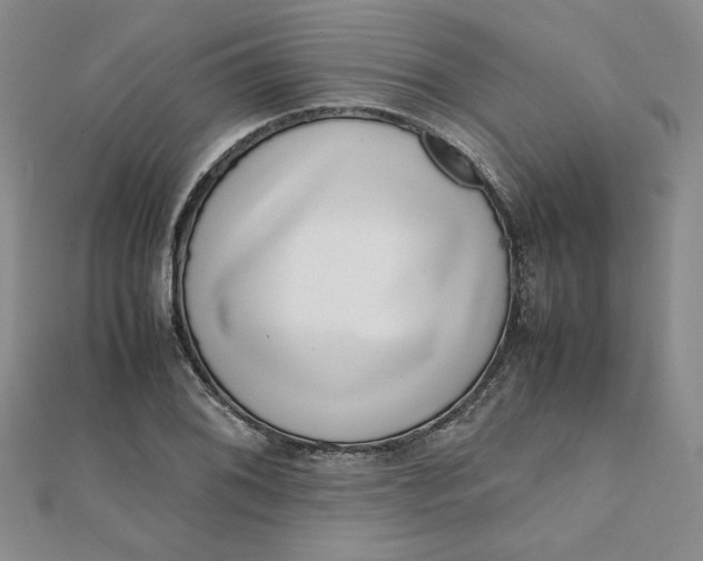 X0000111661076200907311133