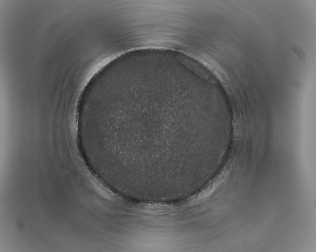 X0000111661077200907311133