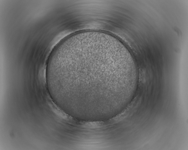 X0000111661078200907311133