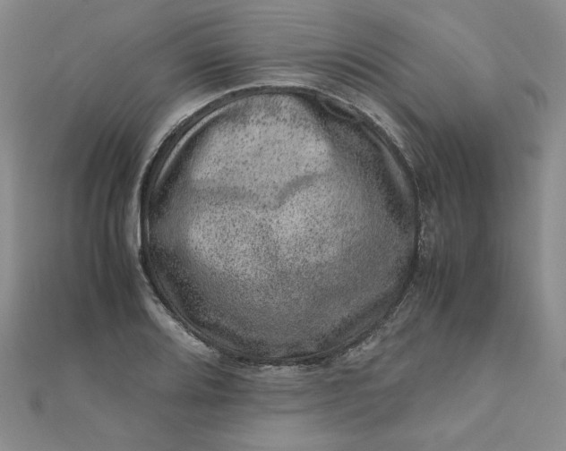 X0000111661080200907311133