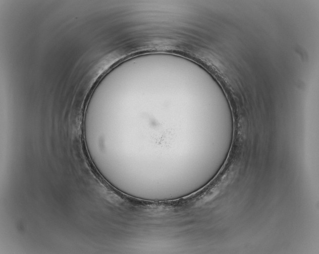 X0000111661081200907311133