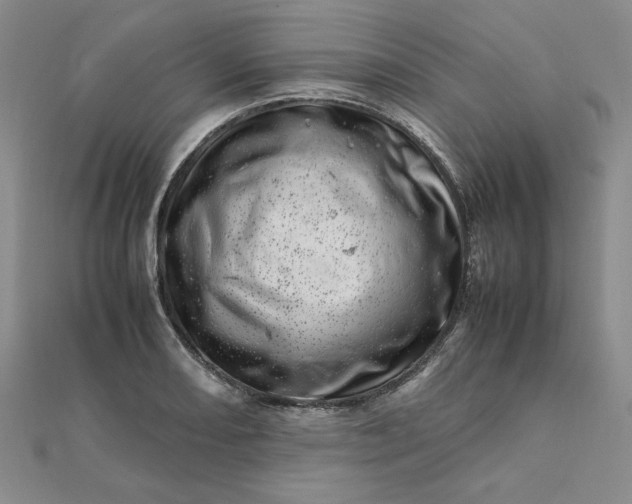 X0000111661082200907311133