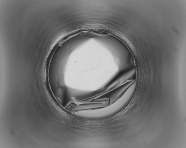 X0000111661083200907311133