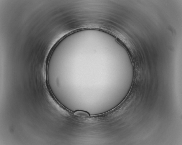 X0000111661084200907311133